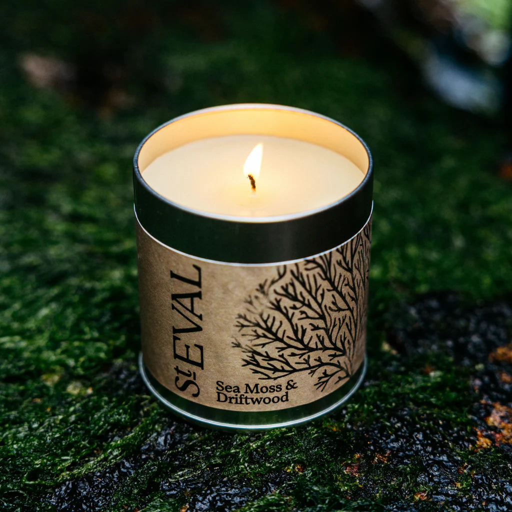St Eval Sea Moss & Driftwood Candle Tin - Precious Sparkle