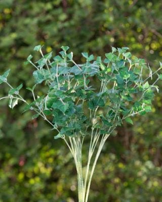 Mezu Silk Flowers Homewares Artificial Bunch Small Ivy Leaves