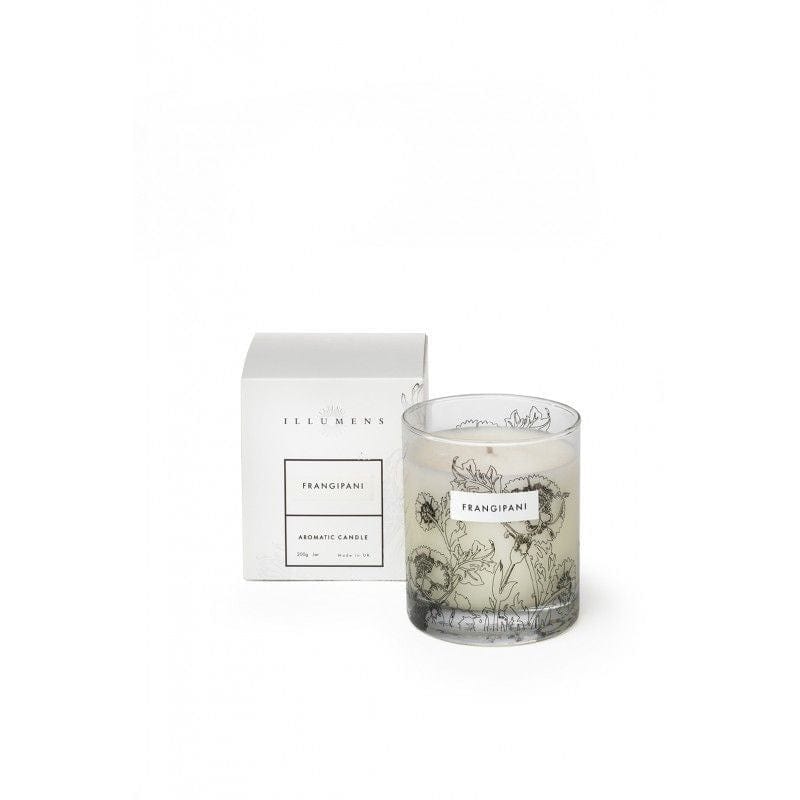 Illumens Illumens Frangipani Scented Candle in Glass
