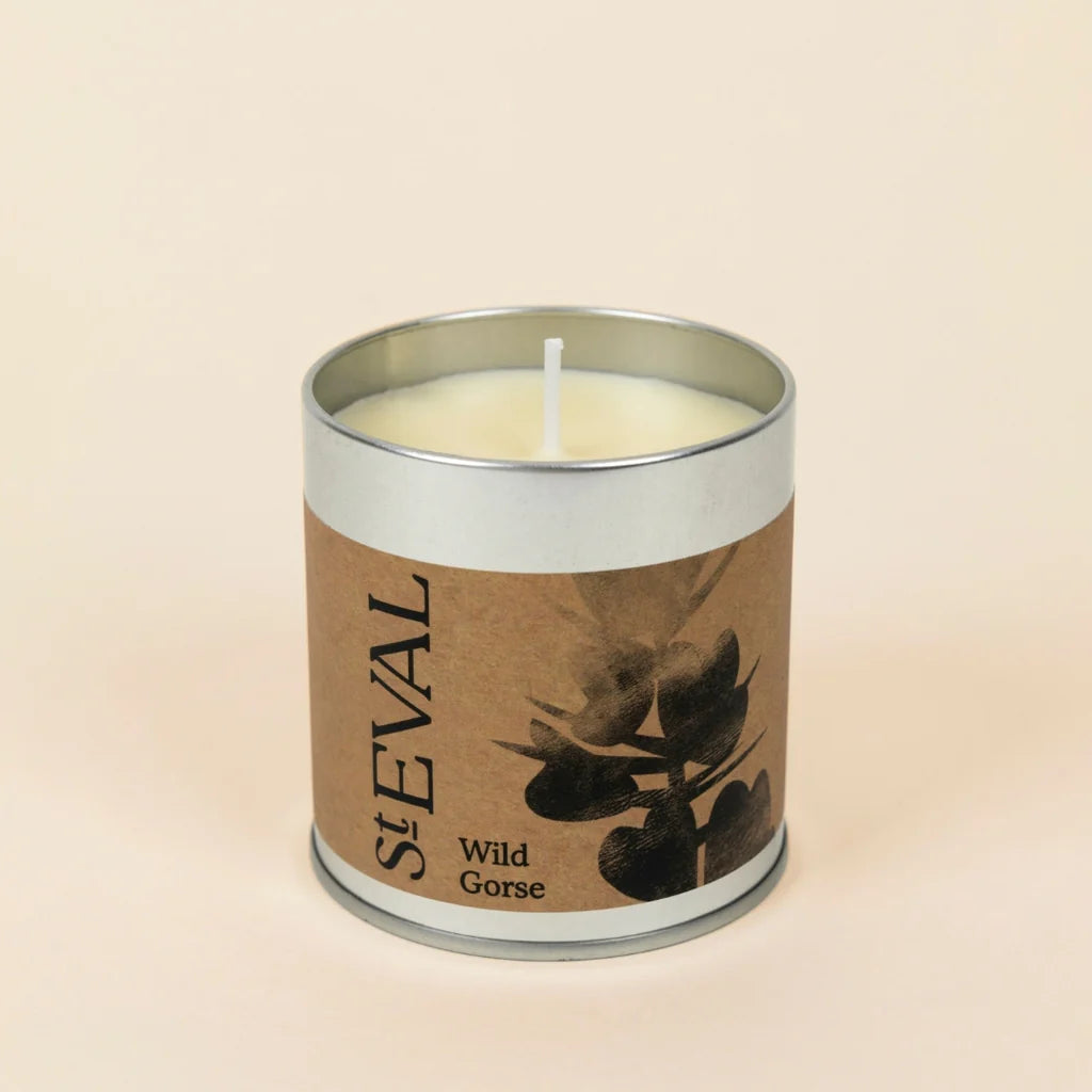 St Eval Wild Gorse Candle Tin