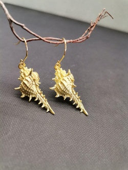 Gold Conch Shell Earrings