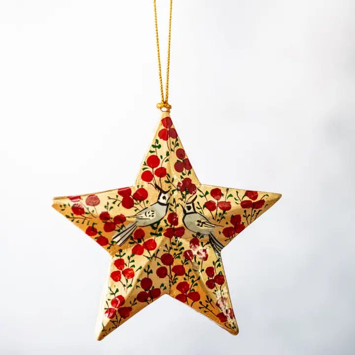 Bollywood Christmas Homewares red/gold Bollywood Turquoise Star