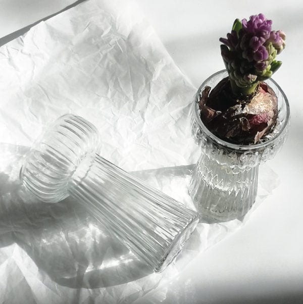 Casa Verde Homewares Terrace & Garden Clear Bulb Vase