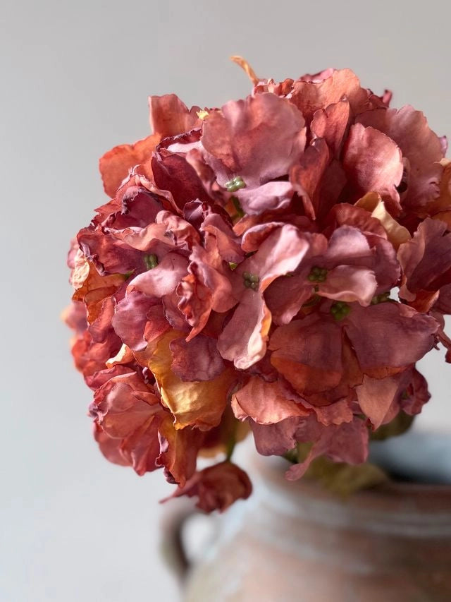 Vintage Hydrangea Stem - Rust Orange - Precious Sparkle