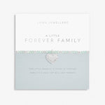 Joma Jewellery Jewellery Joma Live Life in Colour Forever Family Bracelet