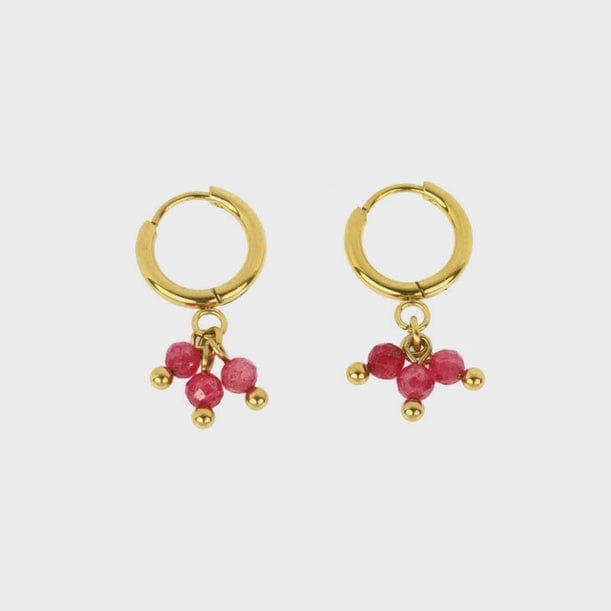 Les Cleias Jewellery Les Cleias Axelia Gold Earrings Fuchsia